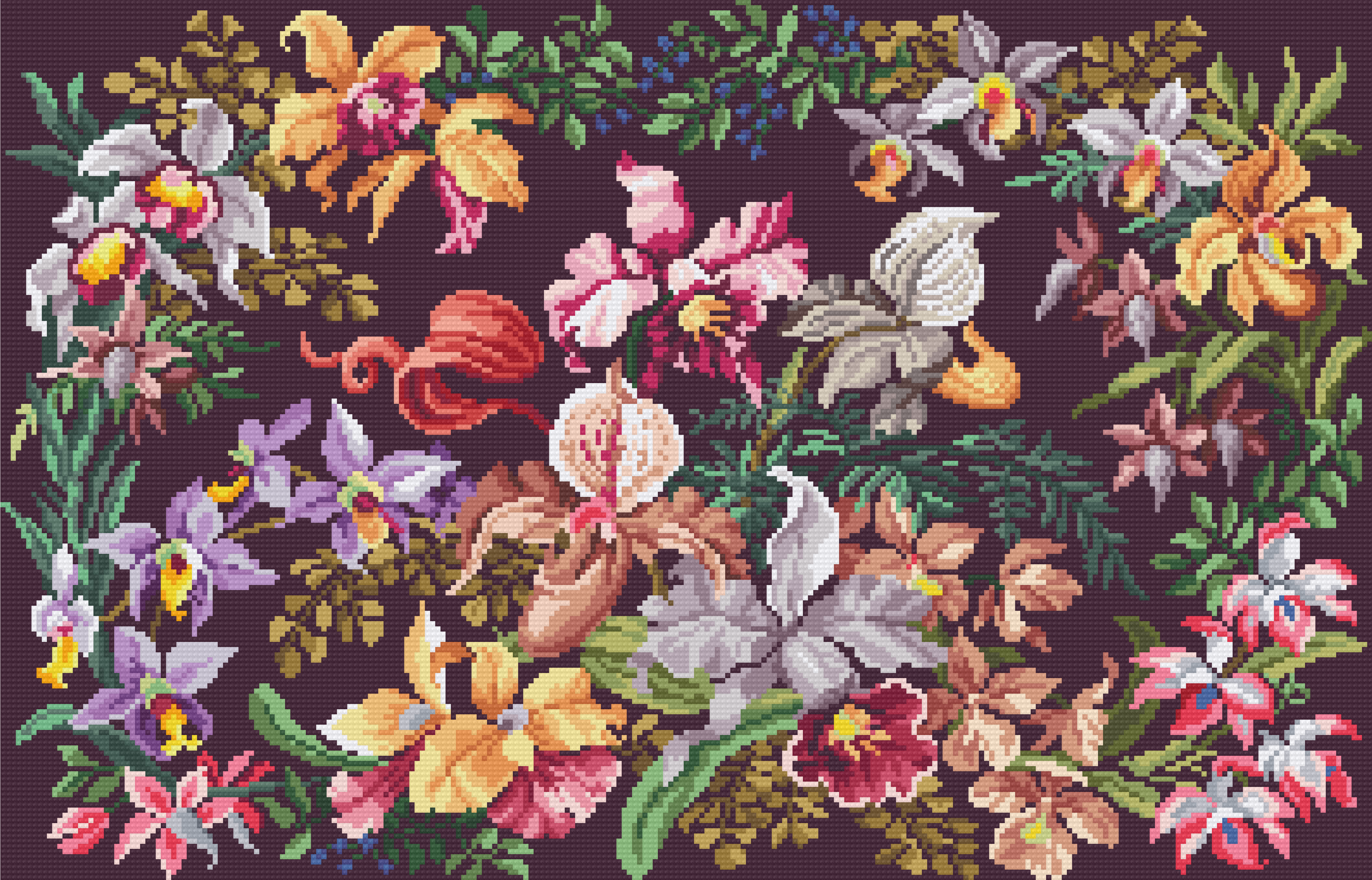 Antique Orchids