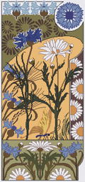 Cornflower And Daisies