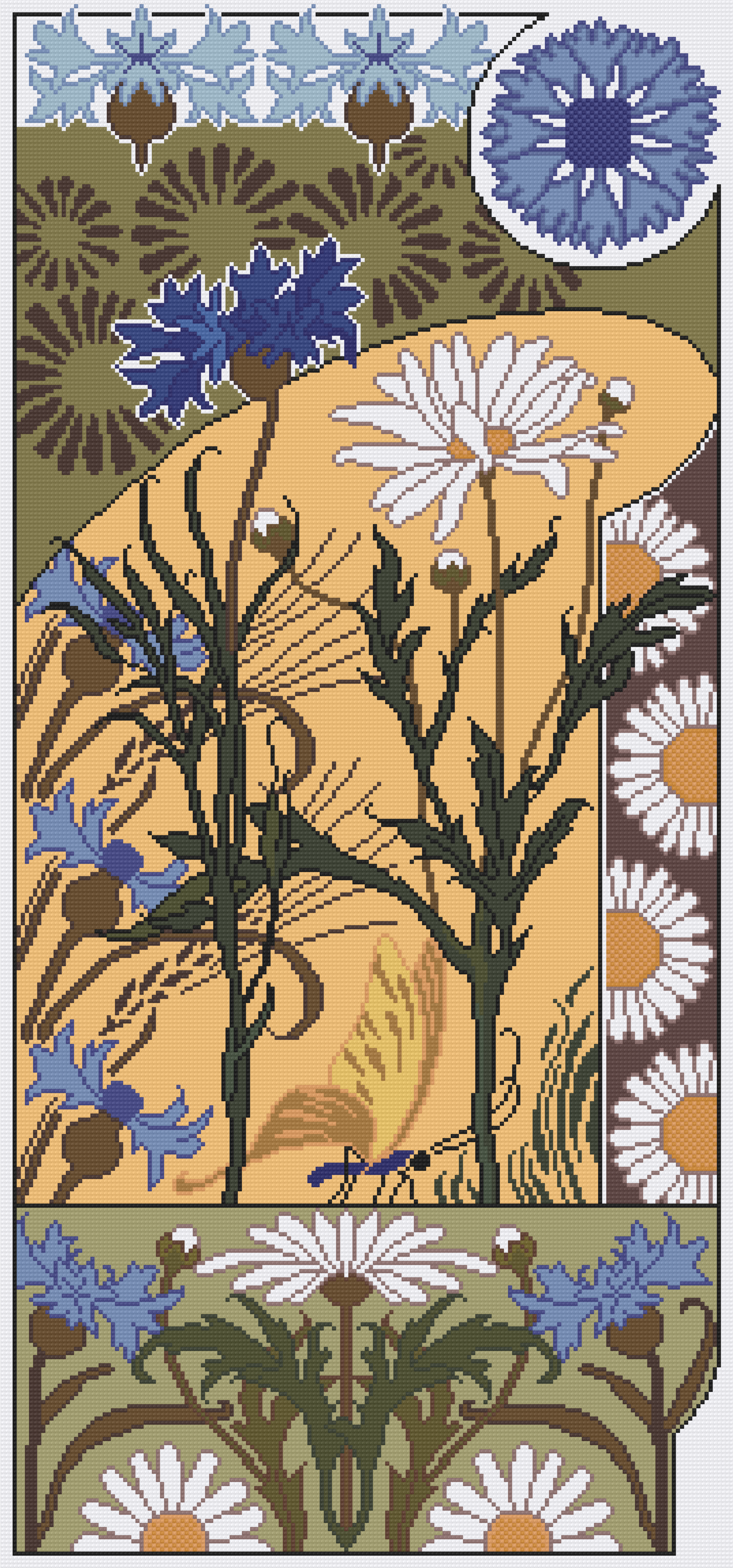 Cornflower And Daisies