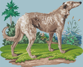 The Noble Hound