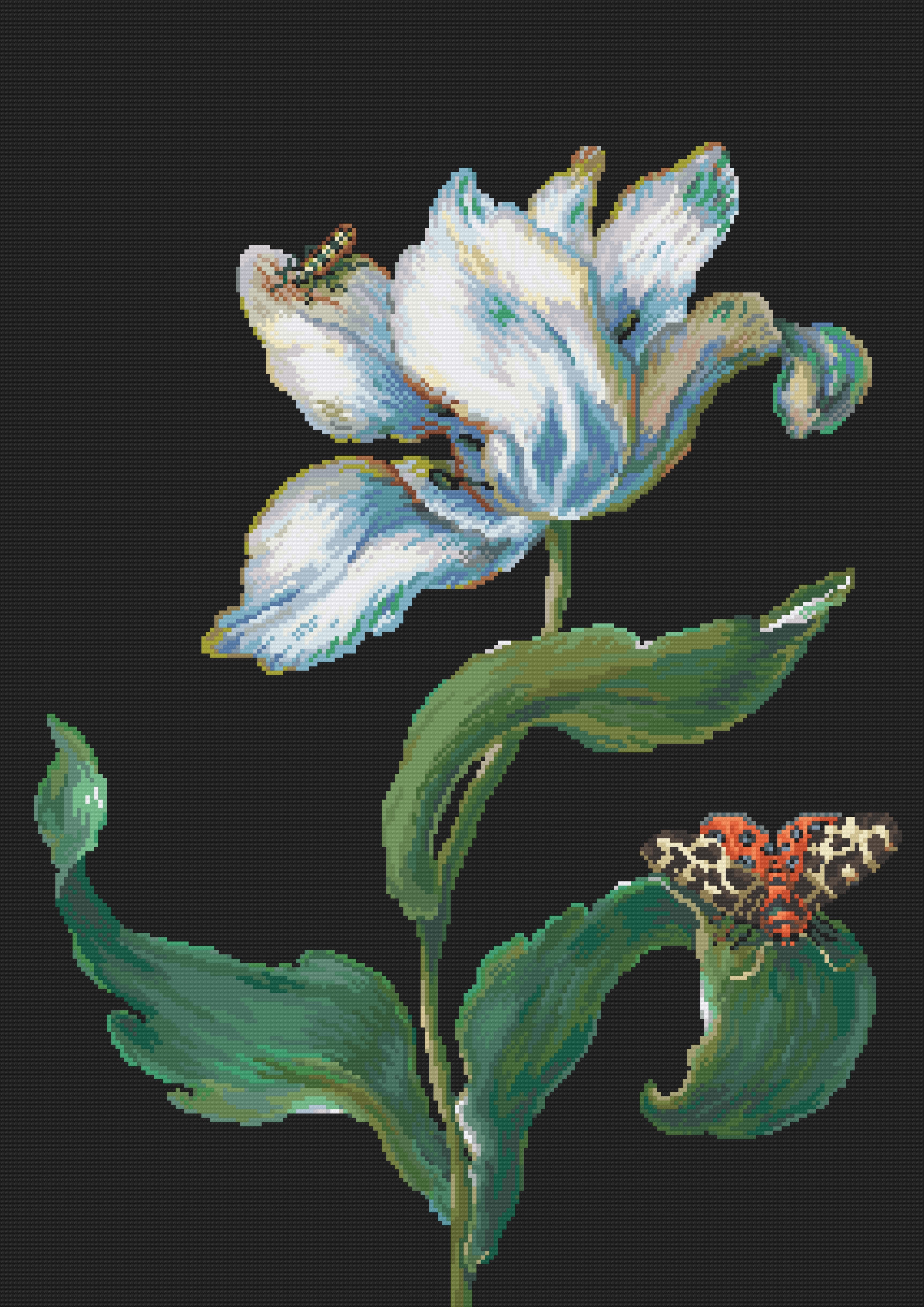 Tulip with Garden Tiger Moth and Beetle