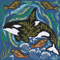 Orca - American Wildlife Series