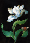 Tulip with Garden Tiger Moth and Beetle